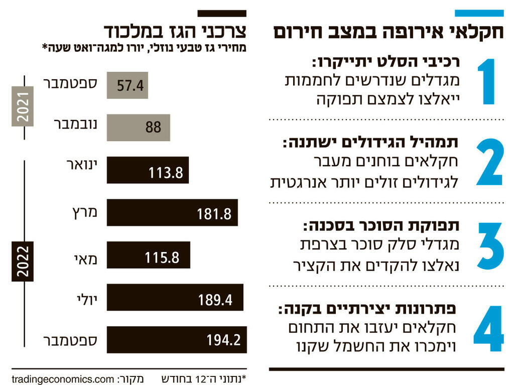 אינפו חקלאי אירופה במצב חירום צרכני הגז במלכוד