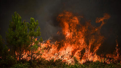 שריפה בצרפת, צילום: AFP