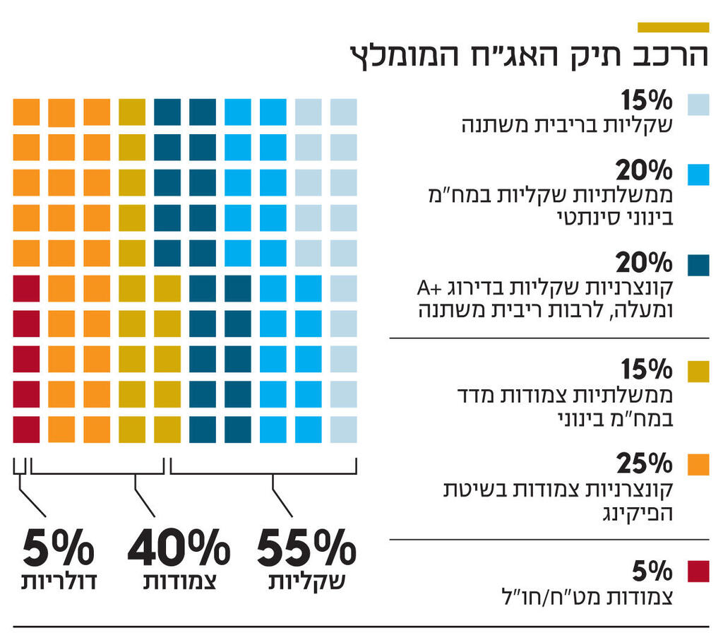 אינפו הרכב תיק האג"ח המומלץ