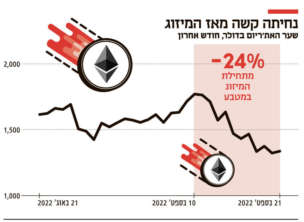 אינפו נחיתה קשה מאז המיזוג