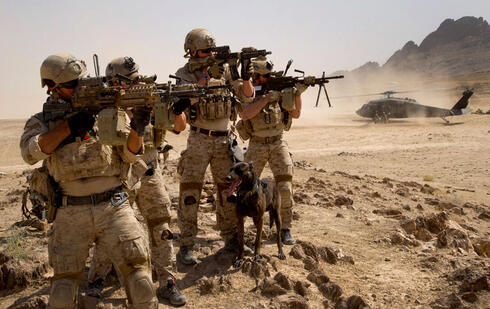 כשצריך, לוקחים גם כלב. קומנדו אמריקאי באפגניסטן , צילום: USN