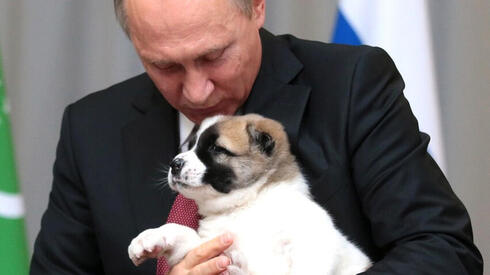 פוטין וכלבו. יש לו ארבעה: באפי, ורני (בתמונה), יומה ופאשה, צילום: Kremlin.ru 