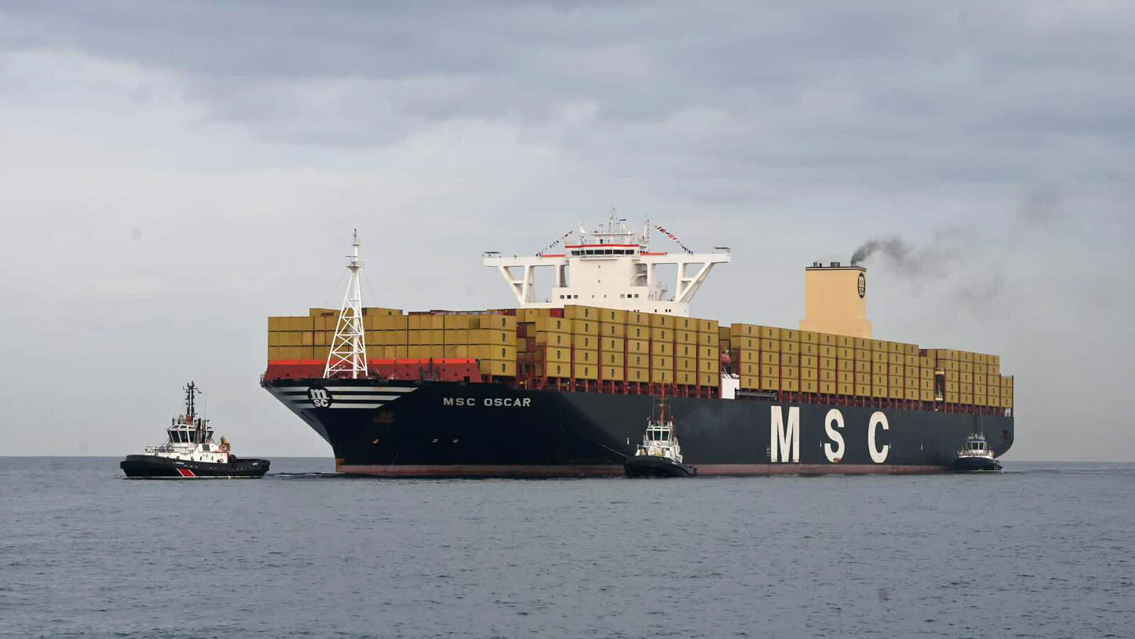 אוניית MSC Oscar בנמל אשדוד