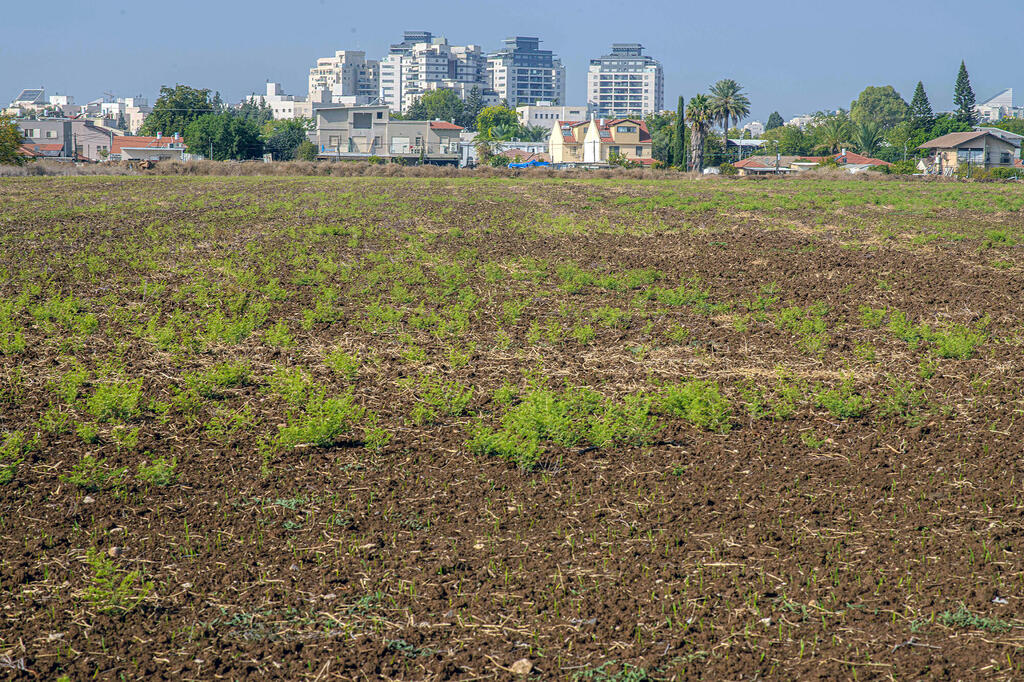 מגזין נדל"ן 30.11.22 שדות ב כפר סירקין