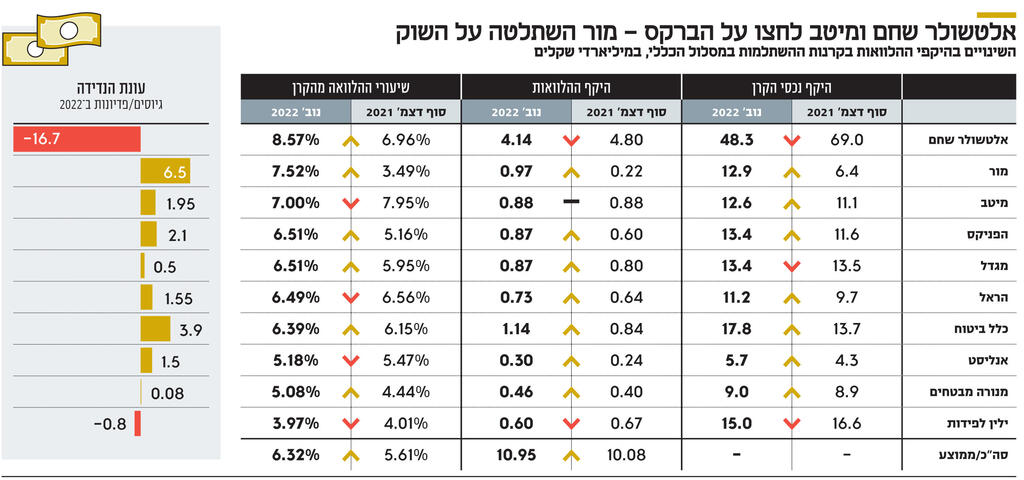 אינפו אלטשולר