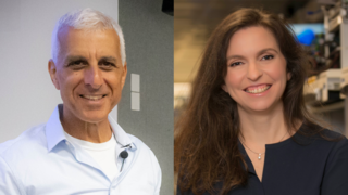Karin Eibschitz-Segal Daniel Benatar Intel