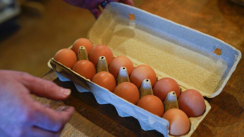 קרטון ביצים. המחירים נסקו בשנה האחרונה