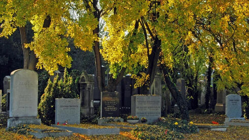 החלקה היהודית בבית הקברות המרכזי של וינה, בה נקבר שוורץ, צילום: earlyflightera