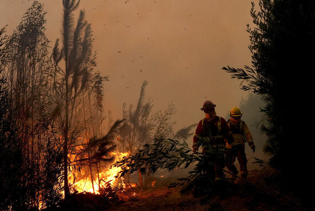 שריפות יער בצ'ילה