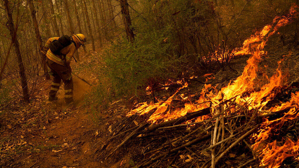 שריפות יער בצ'ילה