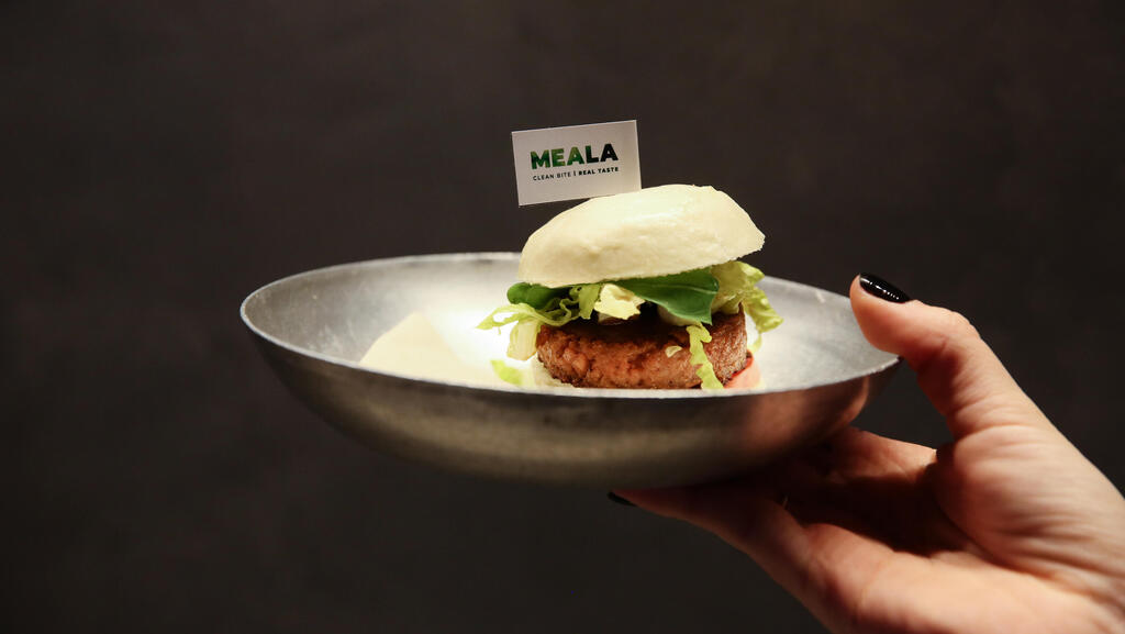 Meala FoodTech secures &#036;1.9 million pre-Seed round for functional protein platform