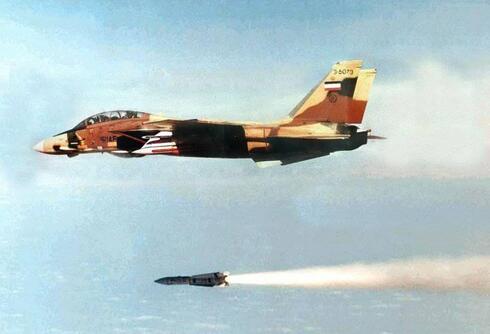 F14 משגר טיל פניקס ארוך טווח, צילום: topwar