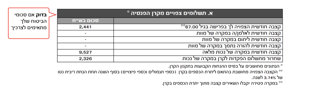 דו"ח פנסיה 1