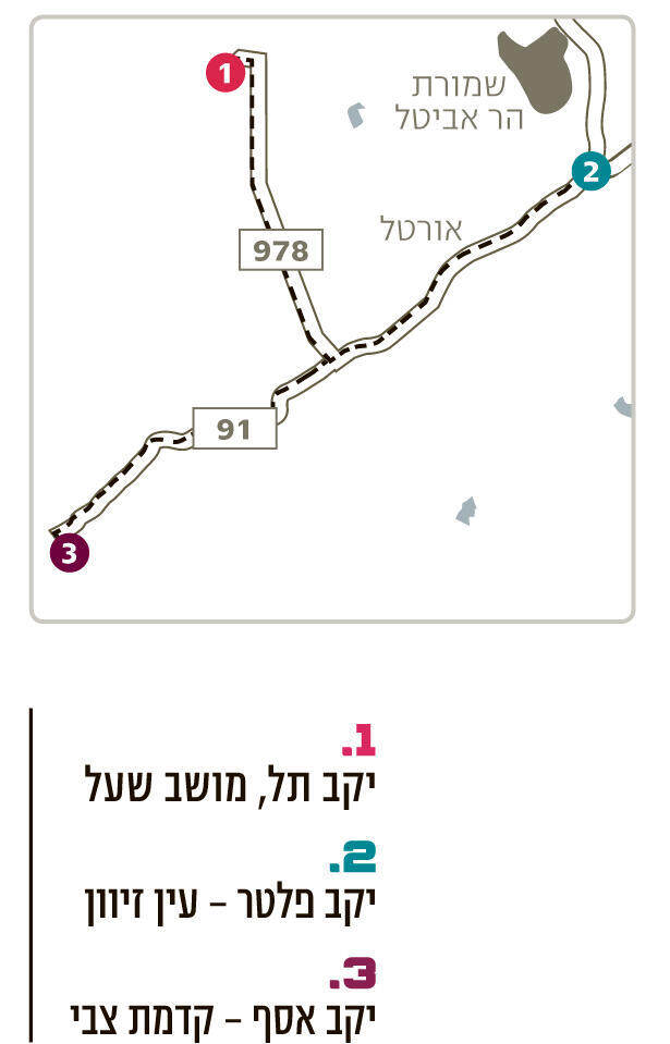 פנאי אינפו יקבים