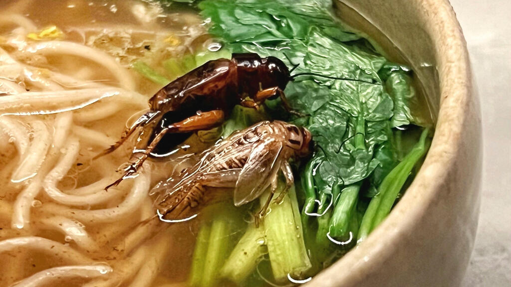 פנאי ראמן צרצרים במסעדת Antcicada ביפן