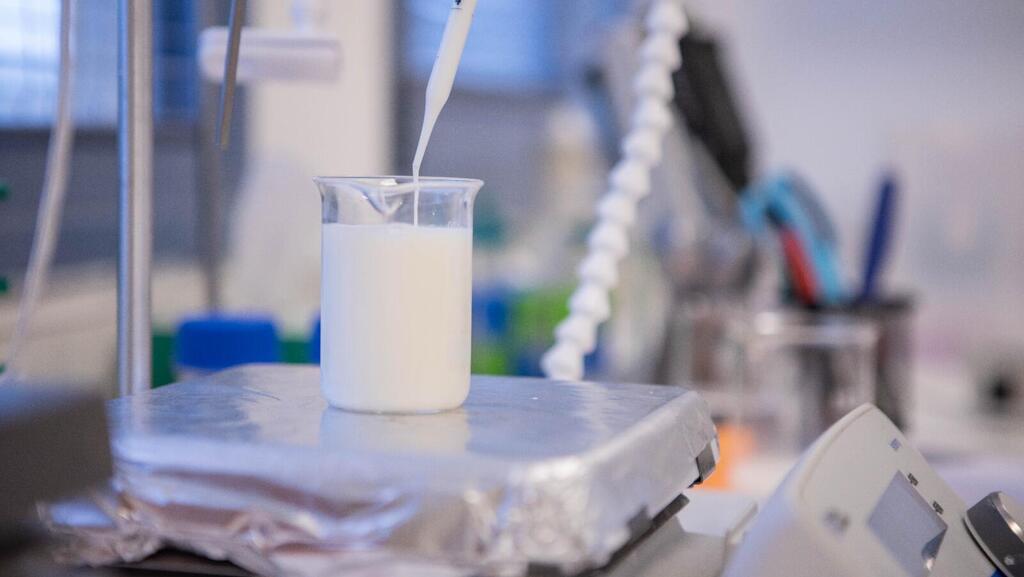 לראשונה בישראל: רימילק קיבלה אישור לשיווק חלב שאינו מן החי