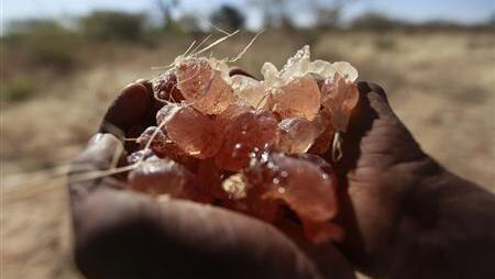 מלחמת האזרחים בסודאן מלחיצה את יצרניות המשקאות הקלים