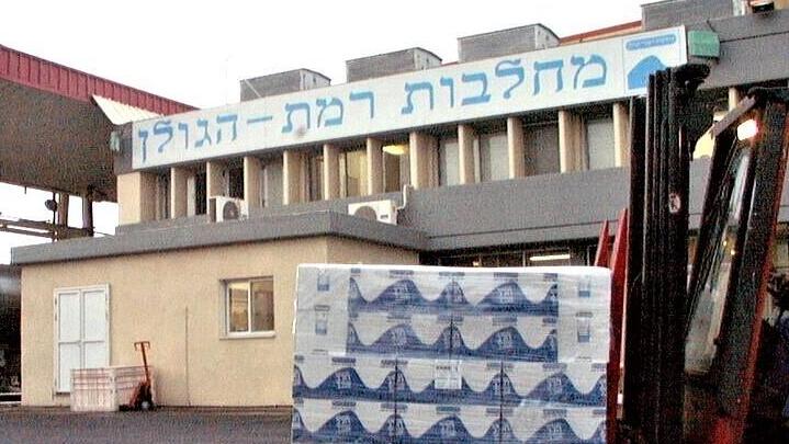 מחלבות רמת הגולן קצרין
