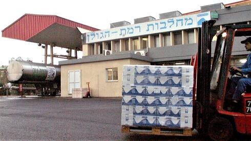 צילום: אפי שריר זנלכל: עלייה של 16% במכירות, לצד שחיקה ברווחיות עקב התגברות התחרות וההוצאות