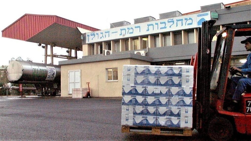 מחלבות רמת הגולן קצרין