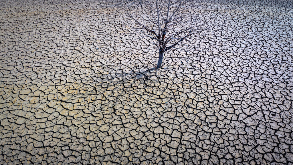 לא ירד ברד בדרום ספרד: תמונות מהבצורת באירופה