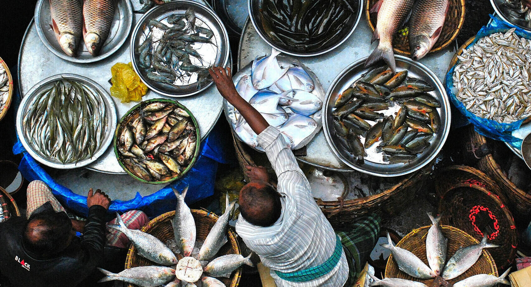 פוטו תחרות צילומי אוכל דוכן דגים בנגלדש