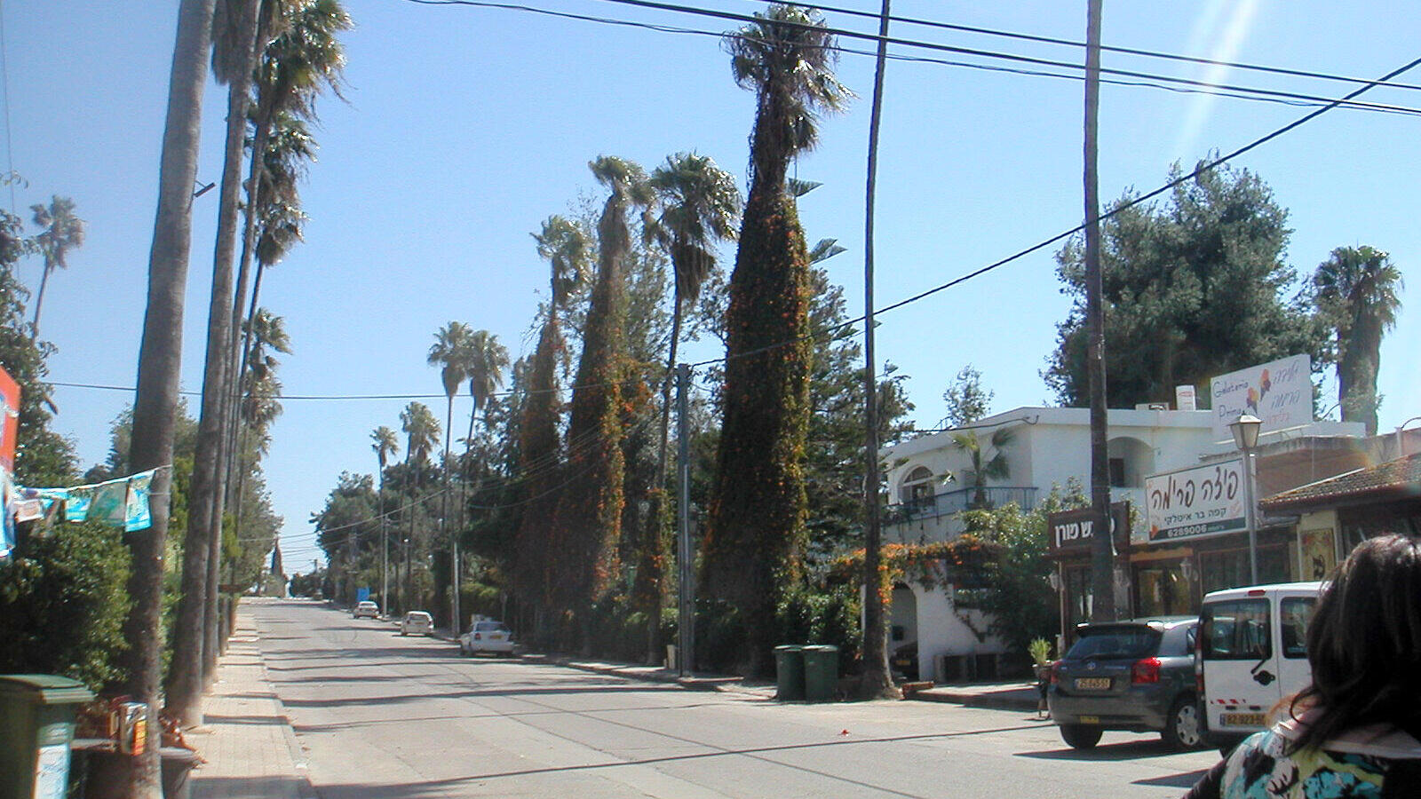 בתים בישוב בנימינה גבעת עדה