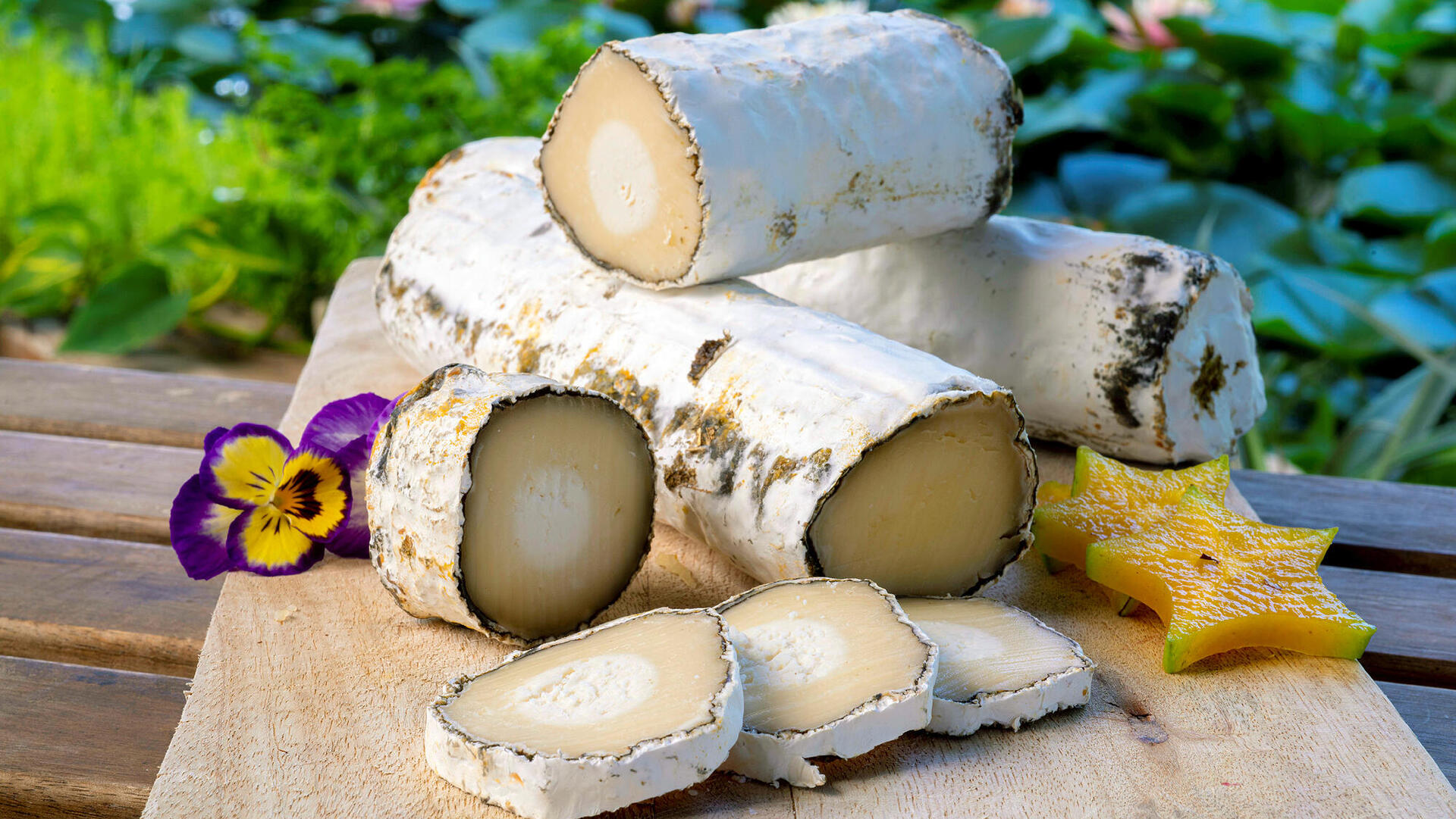 גבינות של אהרון מרקוביץ' מחלבות מרקוביץ פנאי
