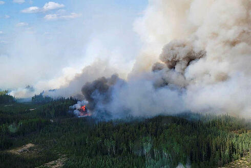 שריפה בקנדה, צילום: רויטרס