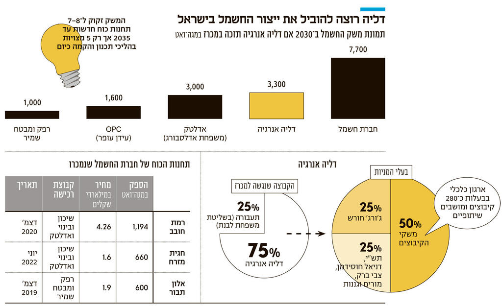 אינפו דליה רוצה להוביל את ייצור החשמל בישראל