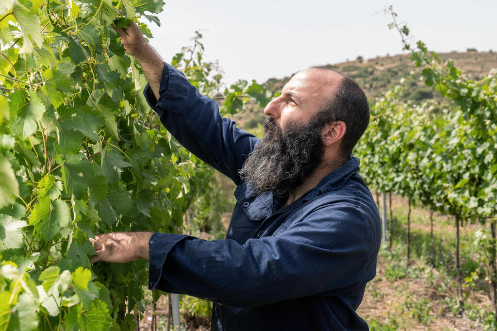 פנאי הדיי עפאים