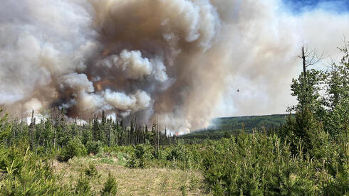 צילום:  BC WILDFIRE SERVICE / AFP