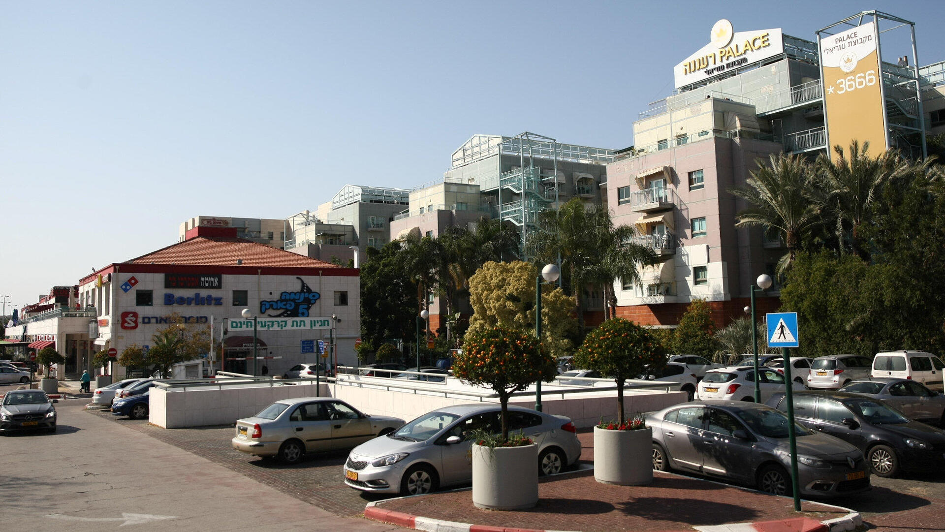 רחוב אחוזה רעננה