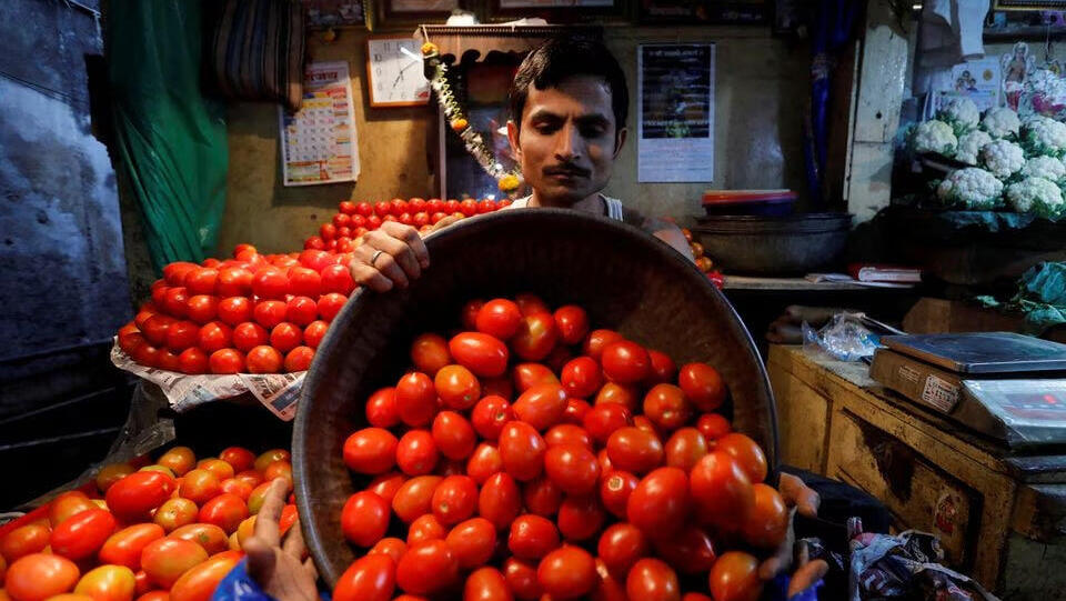 עגבניות או לא להיות: ההודים נאלצים לוותר על מרכיב בסיסי בתזונה שלהם