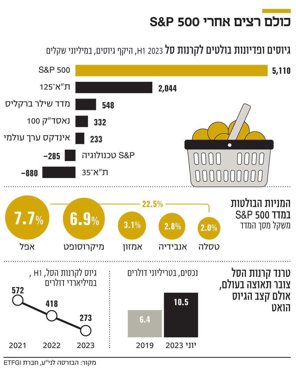 אינפו כולם רצים אחרי 