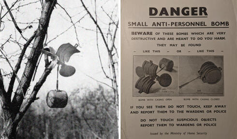 פצצת פרפר שנתקעה על עץ, ואזהרה ממשלתית בבריטניה מפני הפצצות הללו, צילום: IWM