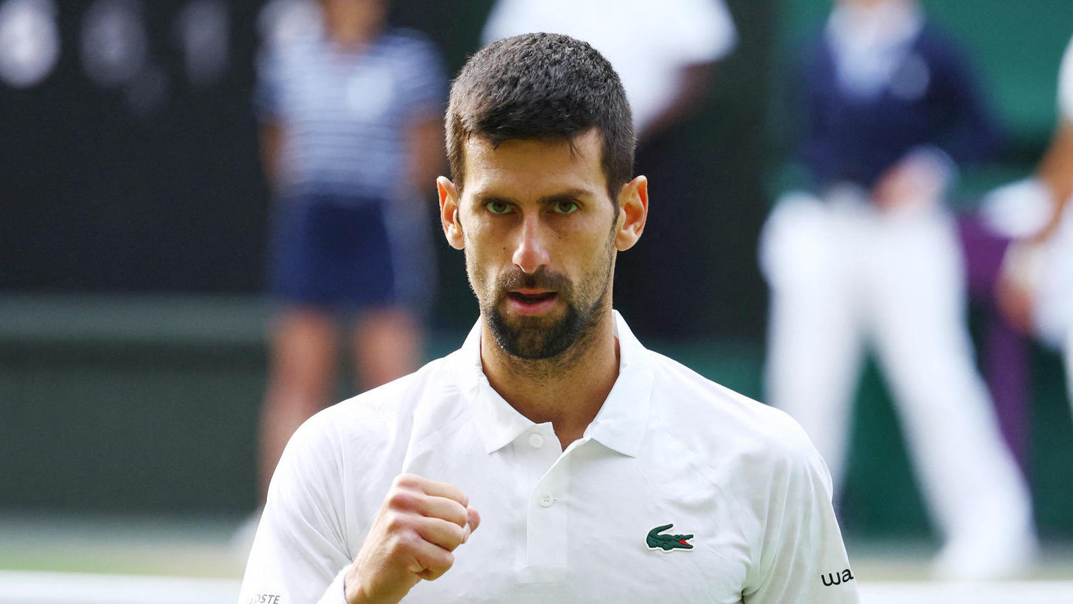 נובאק ג'וקוביץ' בטורניר ווימבלדון ב טניס