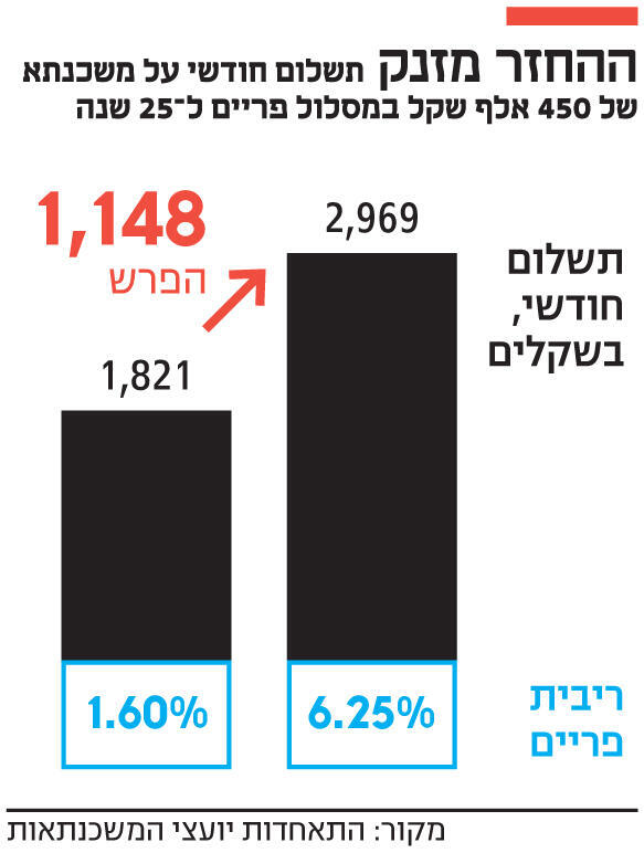 אינפו ההחזר מזנק