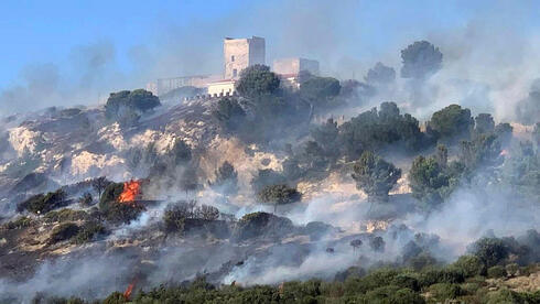 שריפה בסרדיניה, צילום: EPA/MANUEL SCORDO