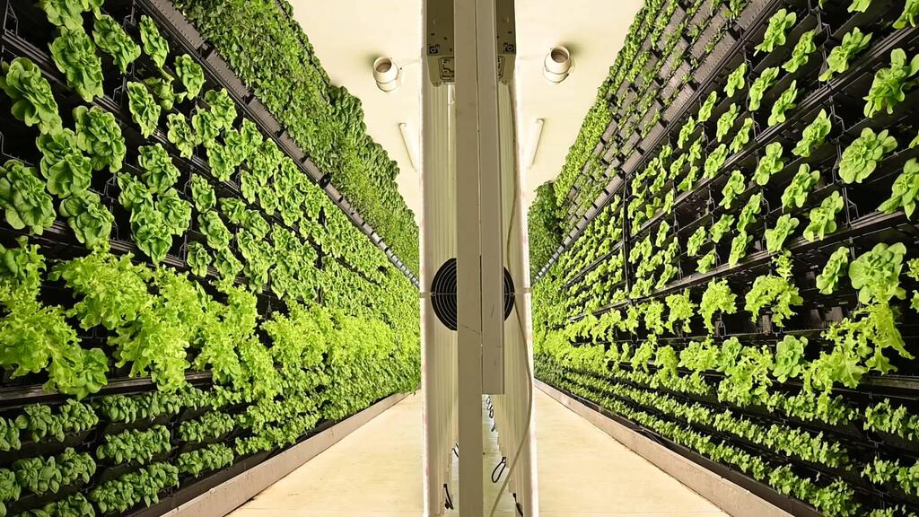 Vertical Field: Unleashing New Horizons for Indoor Farming