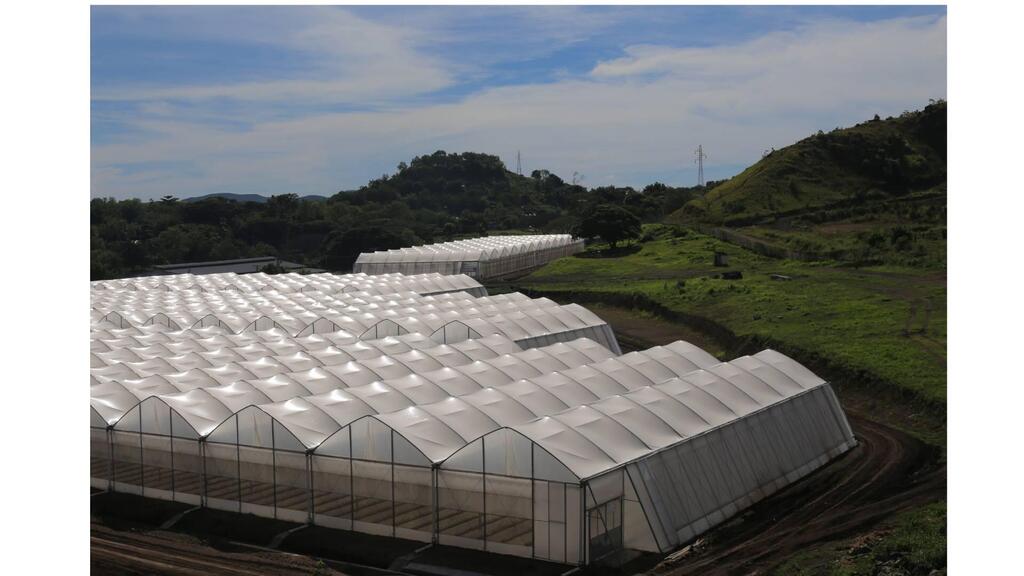 Greenhouses in Papua New Guinea