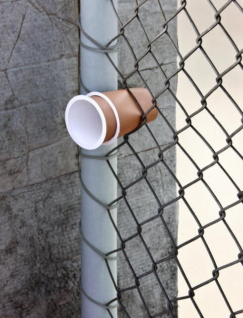 כוס חד פעמית נעוצה בגדר, צילום: thomas demand