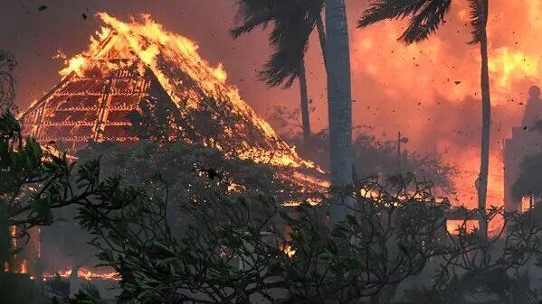 שריפה הוואי