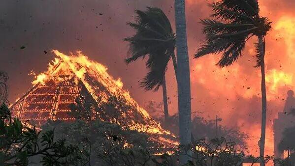36 הרוגים בשריפות ענק שמשתוללות בהוואי; &quot;העיר לא קיימת יותר&quot;