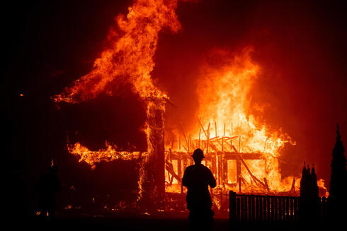 אסון השריפה בהוואי , צילום: AP/Noah Berger