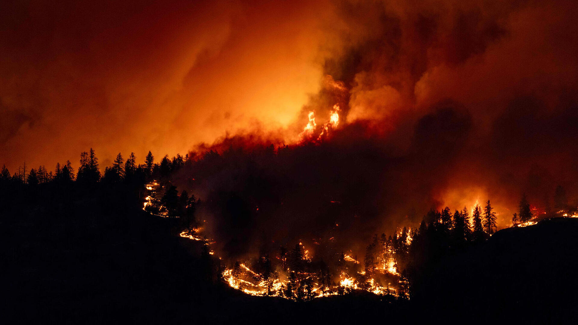 שריפות ב בריטיש קולומביה קנדה משבר האקלים