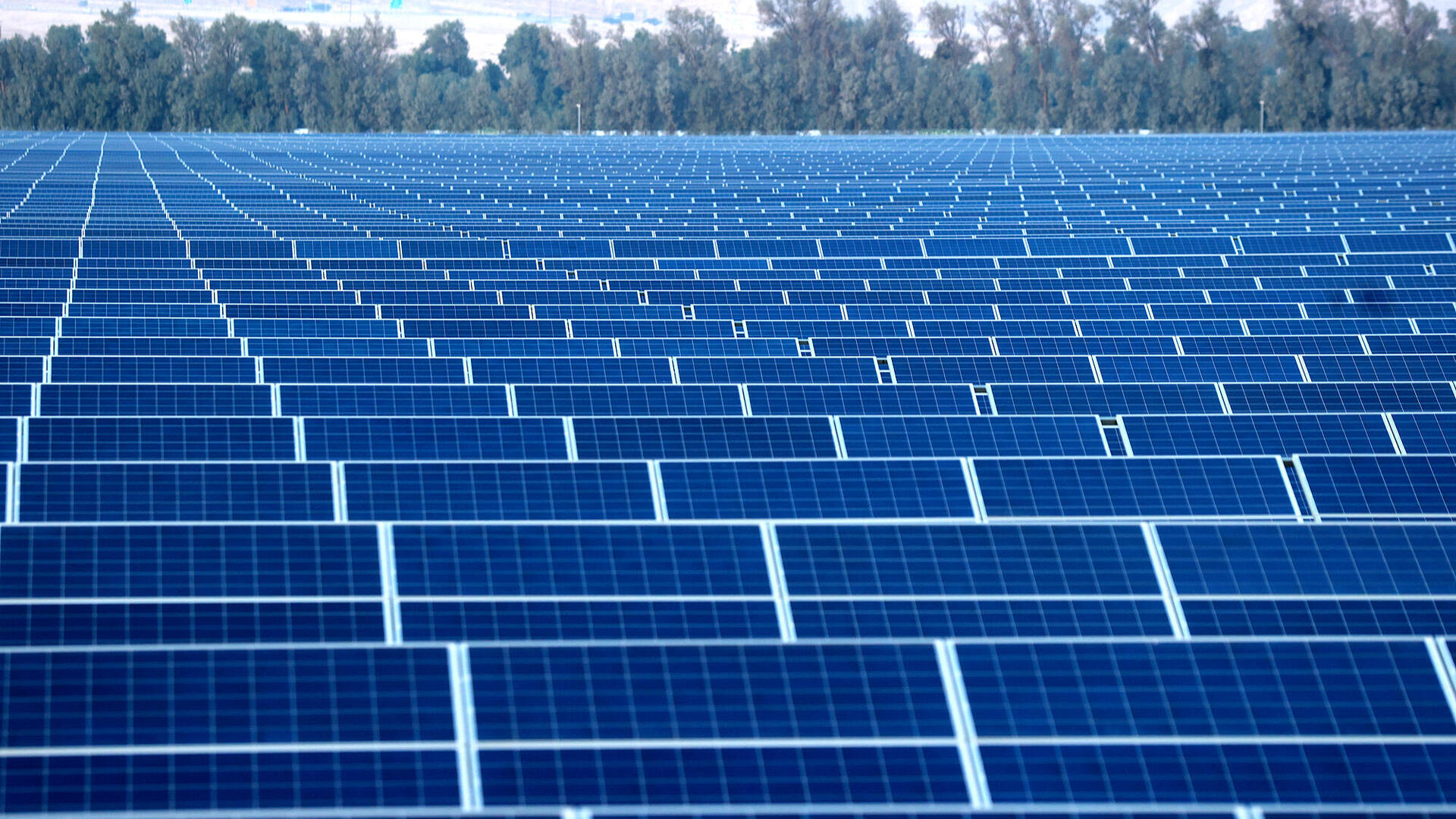 שדה סולארי של חברת ערבה פאוור ב קטורה