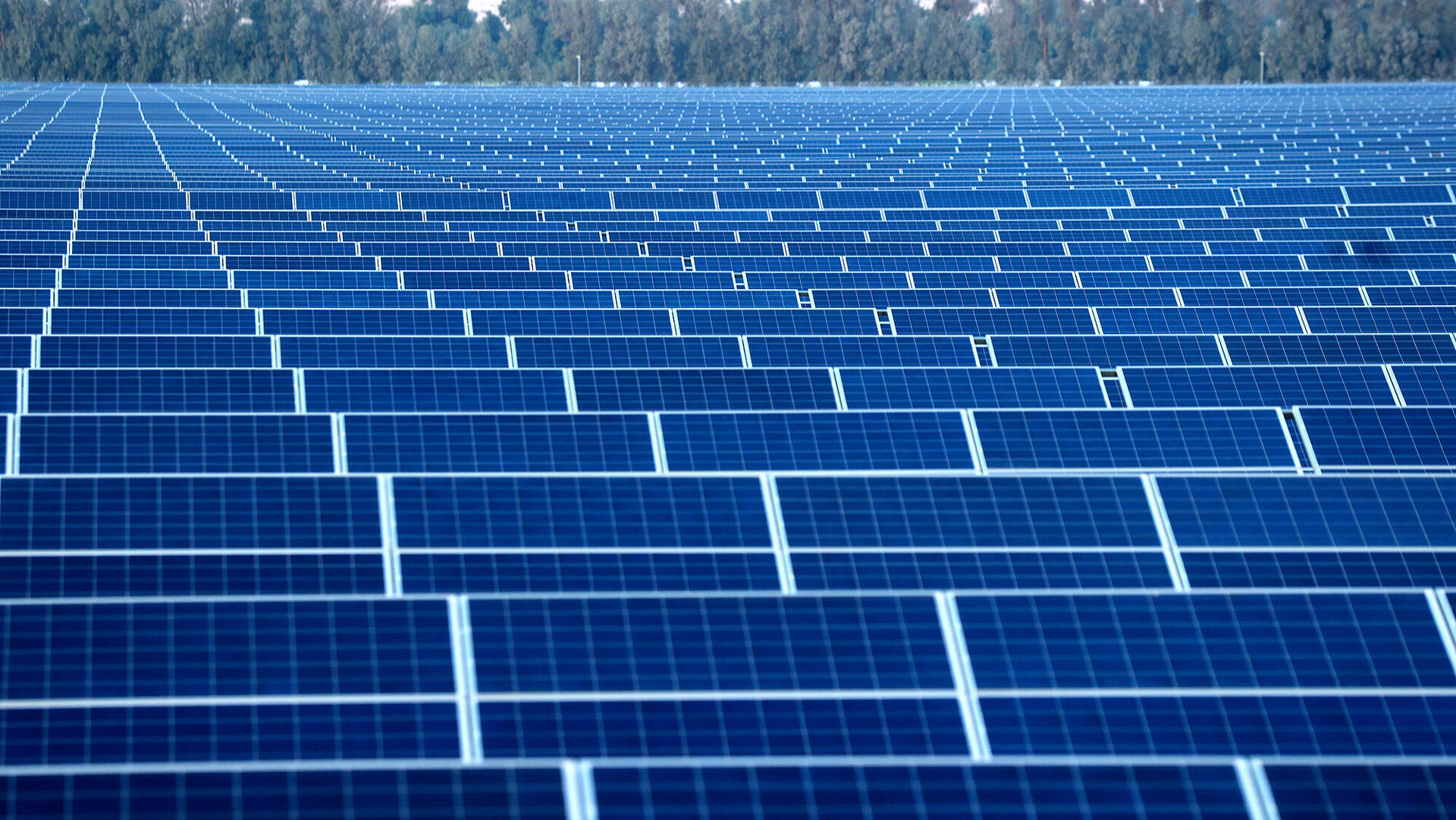 שדה סולארי של חברת ערבה פאוור ב קטורה