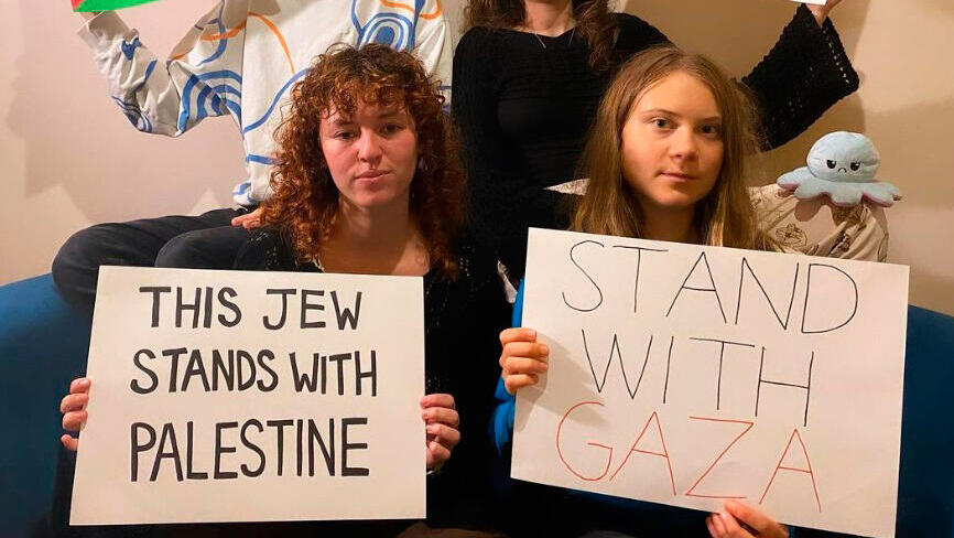 &quot;את בצד הלא נכון של ההיסטוריה&quot;: פעילי סביבה בישראל מתנערים מגרטה טונברג