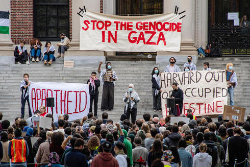 הפגנה פרו פלסטינית באוניברסיטת הרווארד על רקע המלחמה בעזה, צילום: Joseph Prezioso/AFP